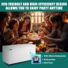 ORIKOOL Chest Freezer 20.1 Cu.ft Solid Top Commercial Deep Chest Freezers with Lockable Stay-Open Lid Painted for Back-of-House Bulk Storage